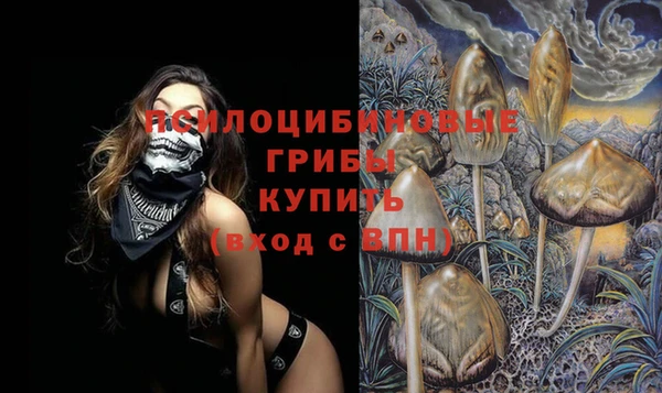 бошки Володарск